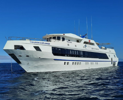 Tiburon Explorer